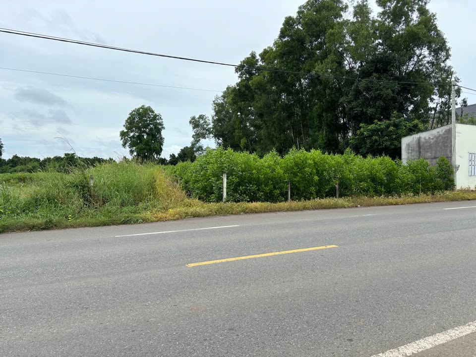 Đất vườn Nghĩa Thành 7200m² giá 7.2 tỷ - Mặt tiền đường rộng, đầu tư sinh lời!