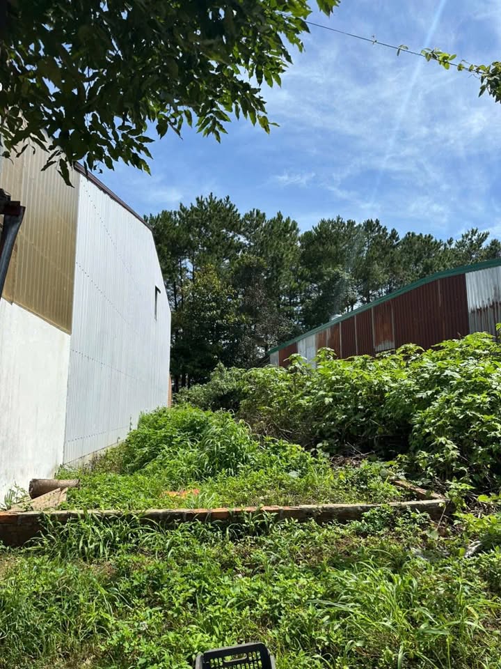 Đất nền mặt tiền Tôn Đức Thắng, Pleiku 96m² giá 2.6 tỷ - Cơ hội đầu tư tuyệt vời!