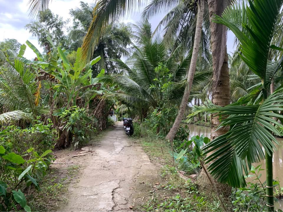 Đất vườn thổ cư 6000m² xã Hoả Lựu giá chỉ 175 triệu - Cơ hội đầu tư tuyệt vời!