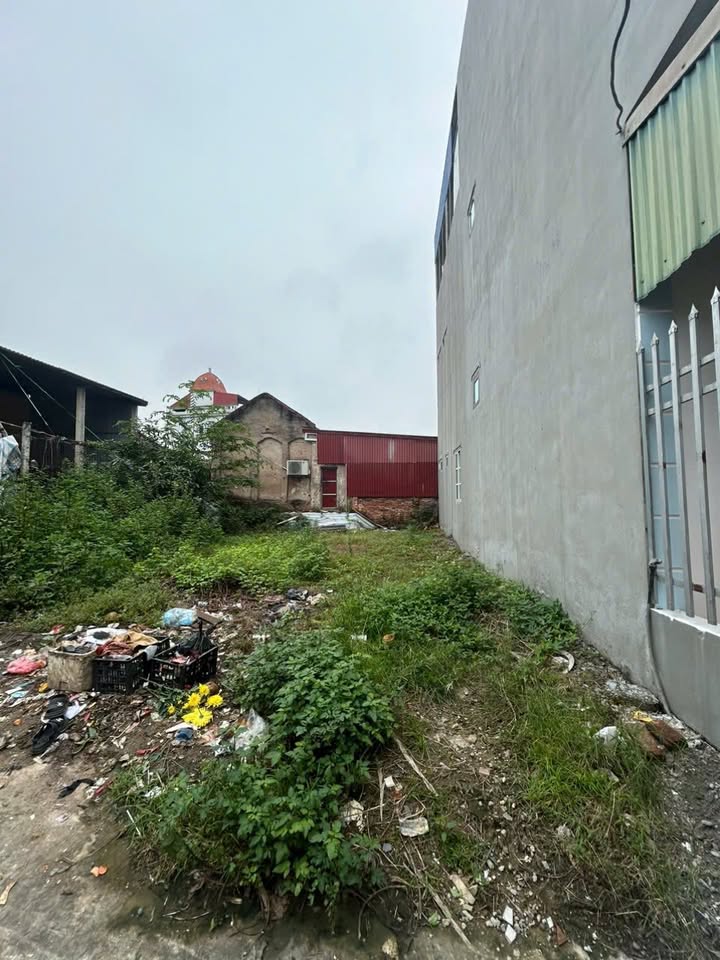 Đất nền Bạch Thượng, Duy Tiên 119m² - Mặt tiền rộng, ô tô vào tận nơi!