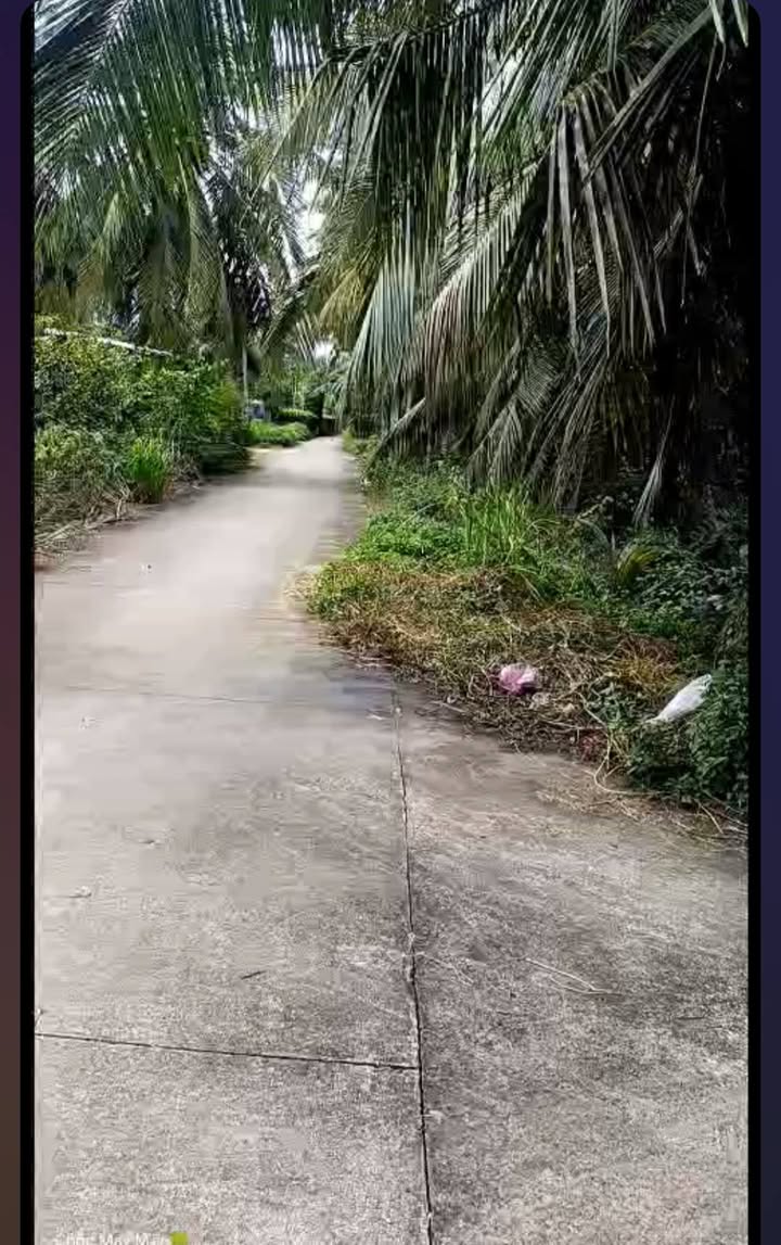 Đất An Điền Lớn 1,6 công giá 736 triệu - Cơ hội đầu tư hấp dẫn!