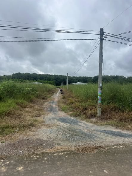 Đất nền 595m² khu phố 10, phường Hưng Long - Sổ đỏ chính chủ, giá thỏa thuận hấp dẫn!