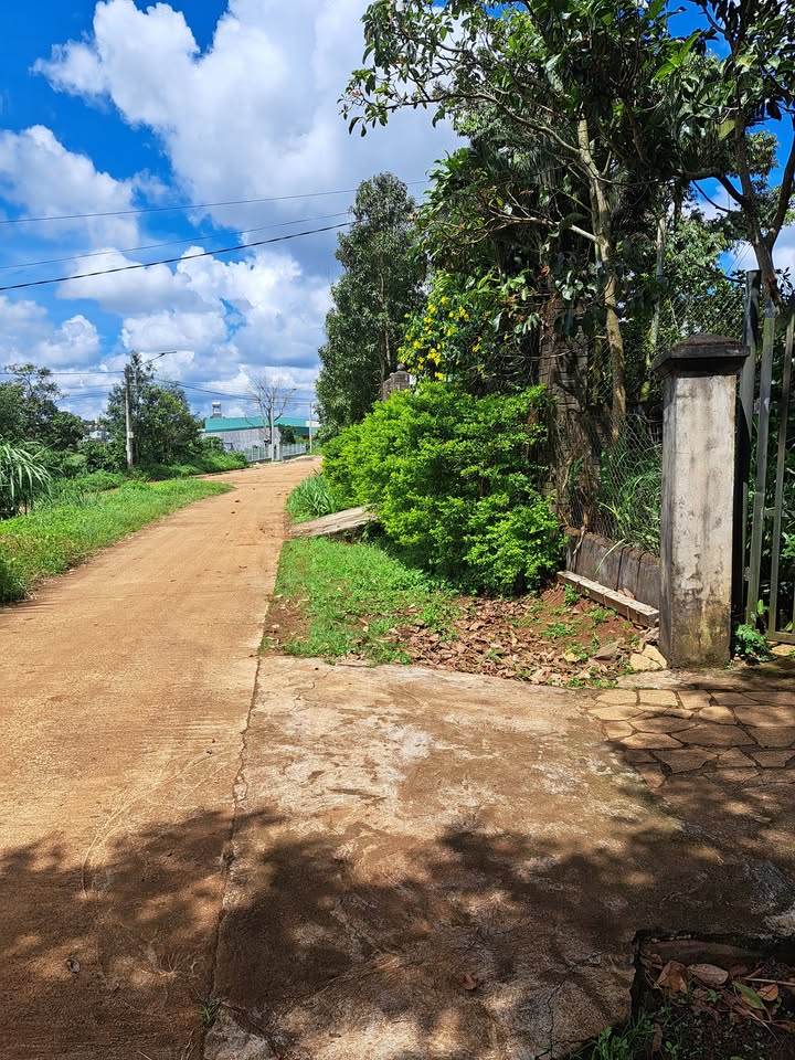 Lô đất thổ cư xã Trà Đa, TP. Pleiku 1130m² giá 1.65 tỷ - Cơ hội đầu tư tốt!