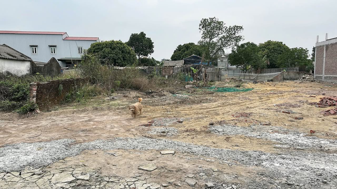 Đất nền Khu 1 Hải Hoà 170m² giá 1 tỷ - Đầu tư sinh lời ngay!