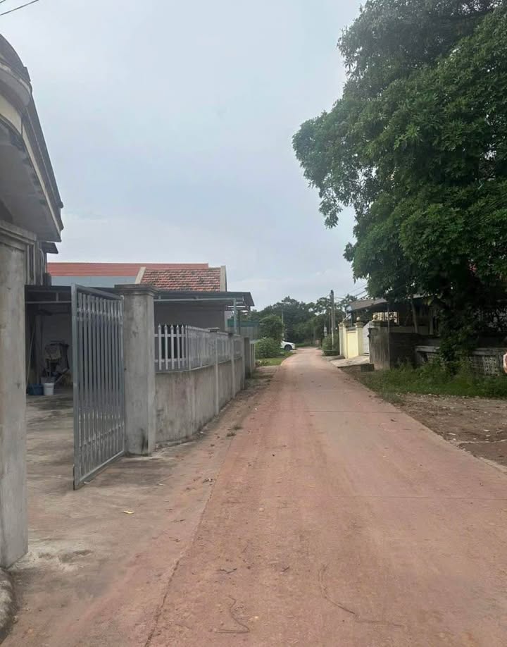 Bán đất 100m² tại Ngõ 6 Trần Quang Khải, Hải Hoà - Giá chỉ 1 tỷ!