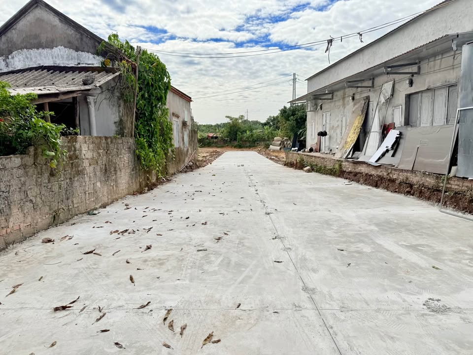 Đất nền khu phố 5 Hải Yên 115m² giá 1 tỷ - Vị trí thuận lợi, dân cư đông đúc!