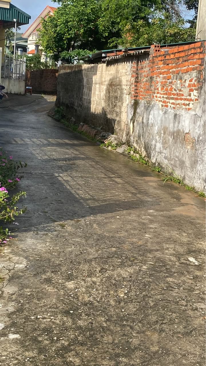 Đất nền Việt Hưng Hạ Long 100m² giá chỉ 1 tỷ - Cơ hội đầu tư không thể bỏ qua!