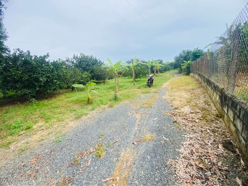 Đất vườn Tân Triều, Vĩnh Cửu 1379m² giá chỉ 11.9 tỷ - Cơ hội đầu tư bền vững!