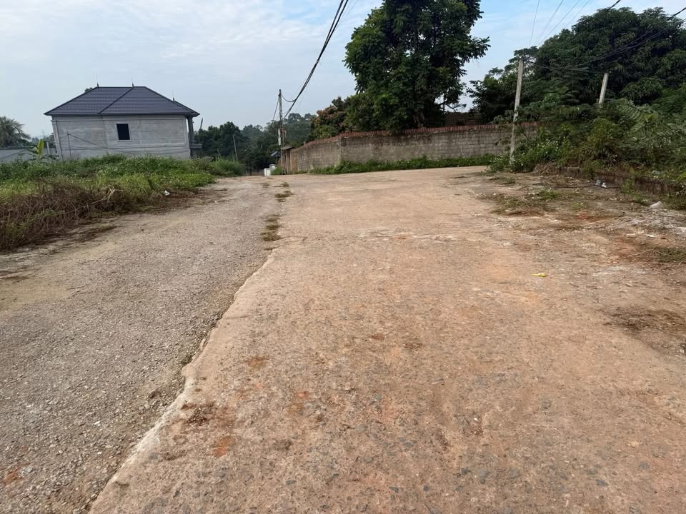 Đất nền Hướng Đạo, Tam Dương 340m² giá 1.5 tỷ - Cơ hội đầu tư sinh lời!