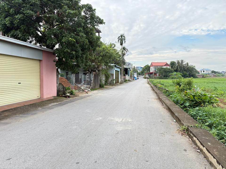 Đất nền Hợp Châu, Tam Đảo 100m² giá 600 triệu - Cơ hội đầu tư tuyệt vời!