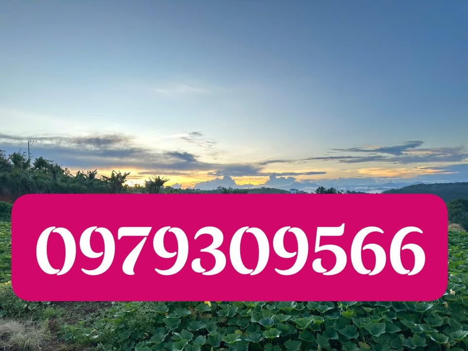 Đất nền Xuân Thọ Đà Lạt 1190m² giá 4.5 tỷ - Cơ hội đầu tư tuyệt vời!