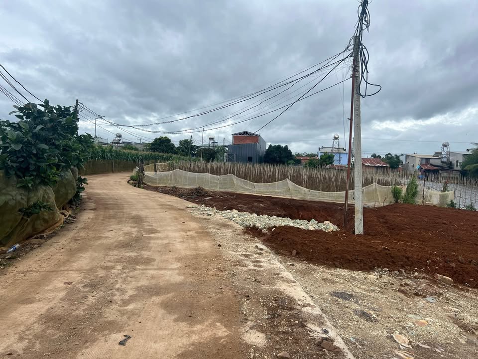 Đất nền Tân Hội 225m² giá chỉ 600 triệu - Nhanh tay sở hữu!