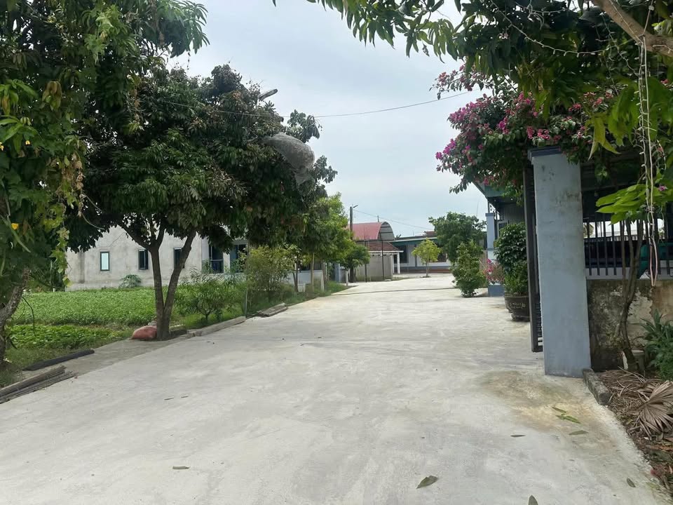 Đất nền phường Hà Huy Tập 134m² giá chỉ 100 triệu - Cơ hội đầu tư hấp dẫn!