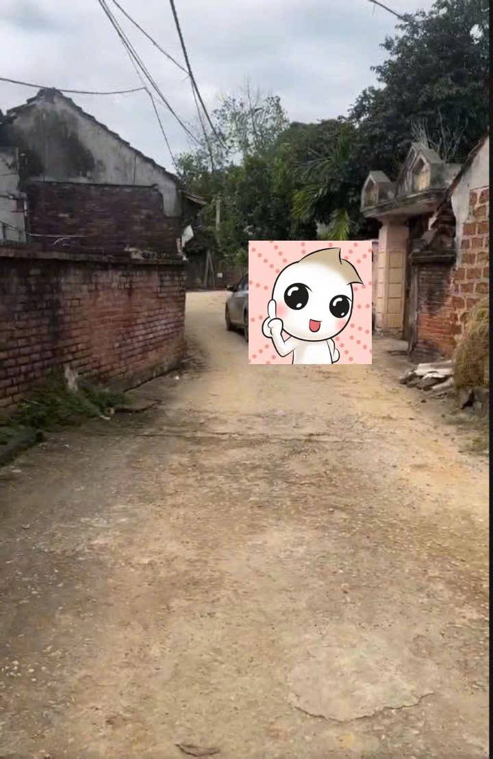 Đất thổ cư 122m² tại Cổ Đông, Sơn Tây - Giá chỉ 2 tỷ, vị trí thuận lợi!