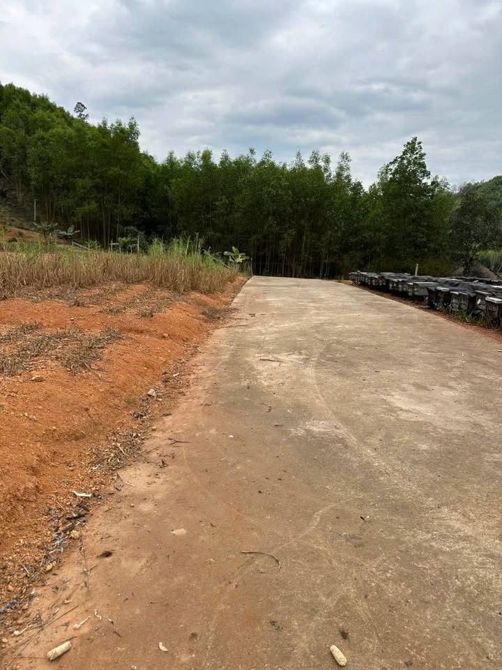 Đất thổ cư An Khang 110m² giá 400 triệu - Sổ hồng chính chủ