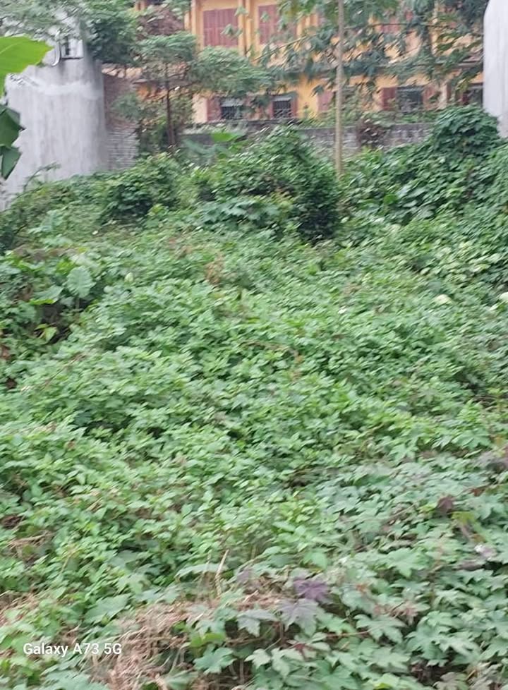 Đất nền chính chủ tại tổ 9, phường An Tường, Tuyên Quang 279m² - Giá chỉ 3 tỷ!