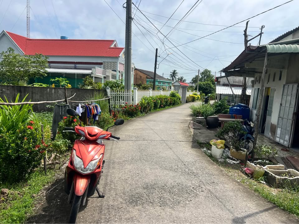 Đất vườn mặt tiền Vàm Cái Nhúc 2500m² giá 3 tỷ - Đầu tư sinh lời hấp dẫn!