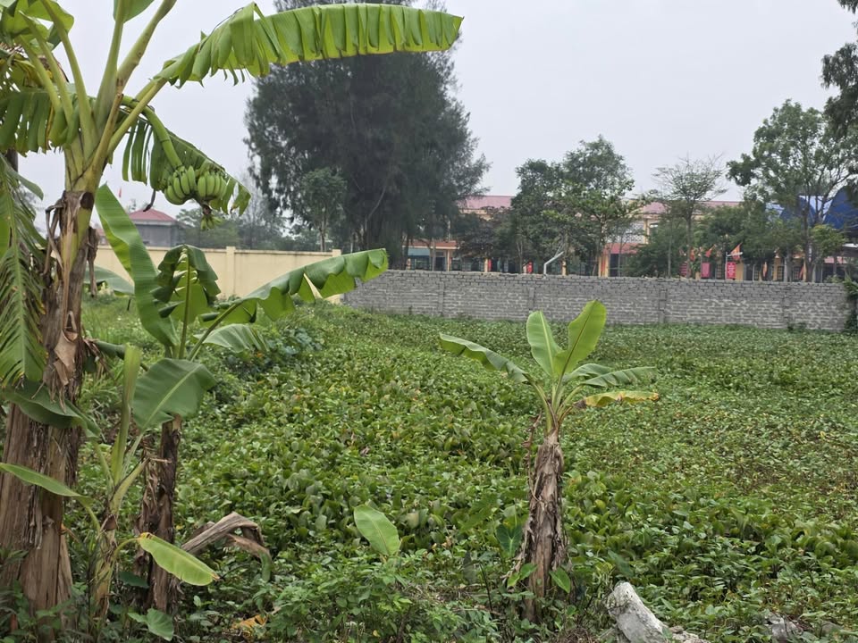 Đất nền Hồng An, Hưng Hà, Thái Bình 150m² giá 1.2 tỷ - Vị trí đắc địa, đầy đủ tiện ích!