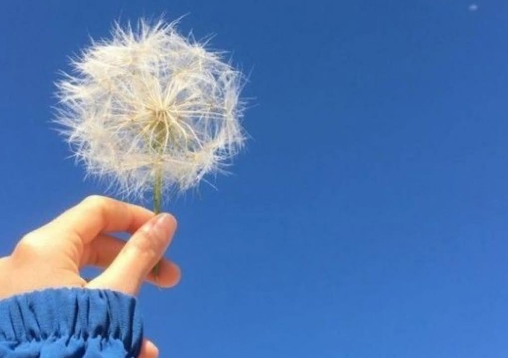 Nhà cấp 4 trung tâm Trương Quang Trọng 115m² giá 1.2 tỷ - Tiện ích đầy đủ, dễ dàng di chuyển!