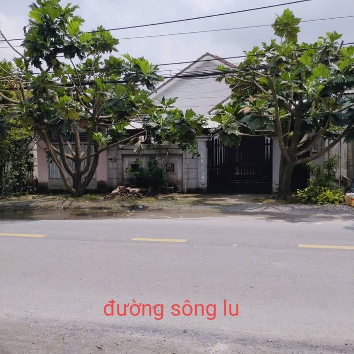 Nhà mặt tiền đường Sông Lu, Hòa Phú, Củ Chi 455m² giá 8.5 tỷ - Quy hoạch khu dân cư hiện hữu