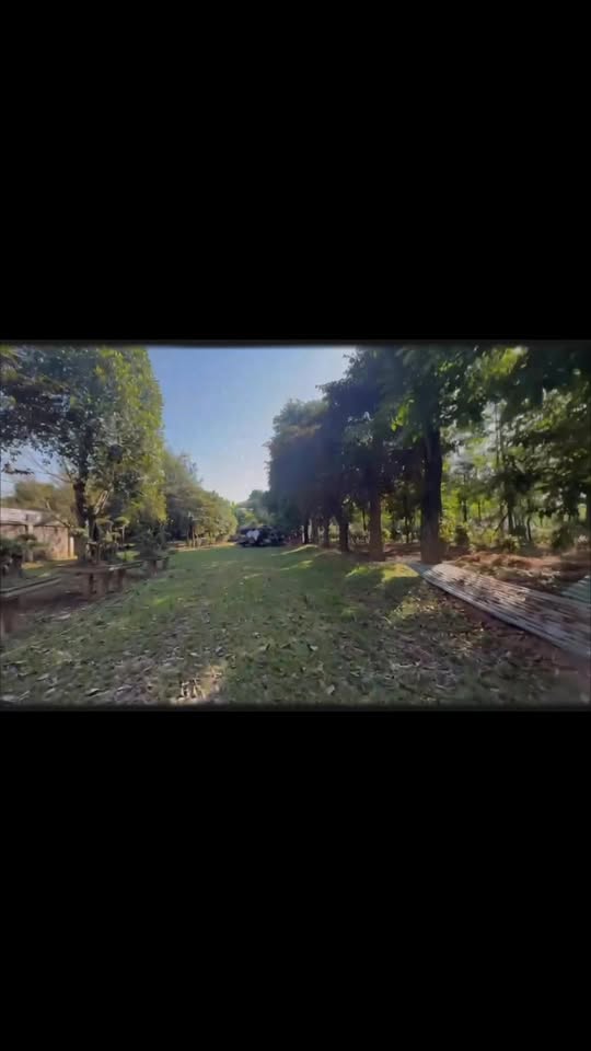 Đất nền mặt tiền TL310, Tam Dương 8500m² - Phù hợp làm công ty, nhà xưởng