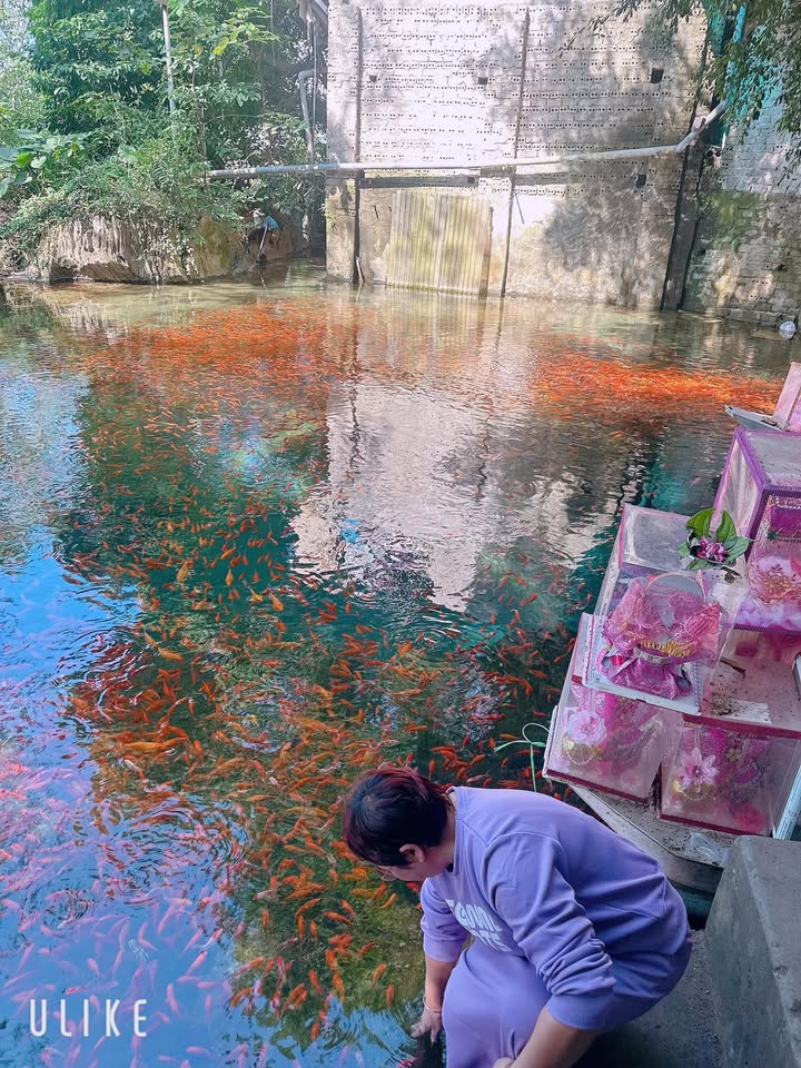 Đất nền Ninh Sơn, TP. Ninh Bình 124m² - Đầu tư sinh lời, pháp lý rõ ràng!