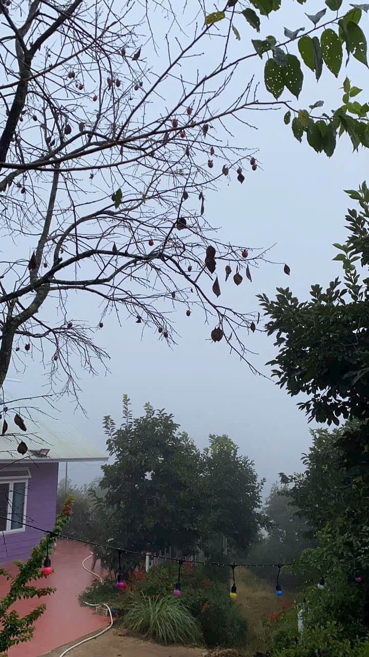 Đất thổ cư 1034m² tại Xuân Trường, Đà Lạt - Giá 10 tỷ - View săn mây tuyệt đẹp!