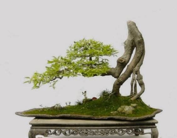 Đất nền phường Trần Hưng Đạo 185m² - Gần trường học, full tiện ích!