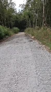 Đất nền Hòa Lợi Bình Dương 355m² giá 700 triệu - Cơ hội đầu tư không thể bỏ lỡ!