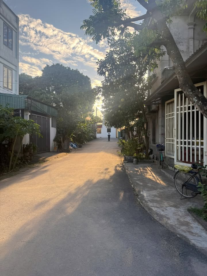 Đất nền Ninh Khang, Hoa Lư 114m² - Cơ hội đầu tư hấp dẫn!