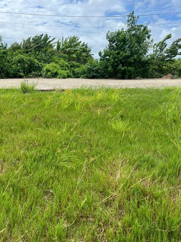 Đất mặt tiền đường Nguyễn Thông, Rạch Sỏi, Rạch Giá 425m² - Giá 900 triệu, thương lượng nhẹ!