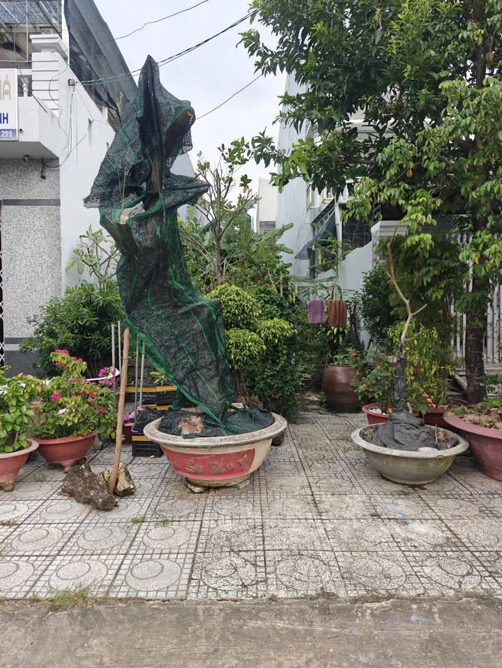 Đất nền mặt tiền đường Trần Văn Giàu, An Hòa, Rạch Giá 138m² - Đầu tư sinh lời hấp dẫn!