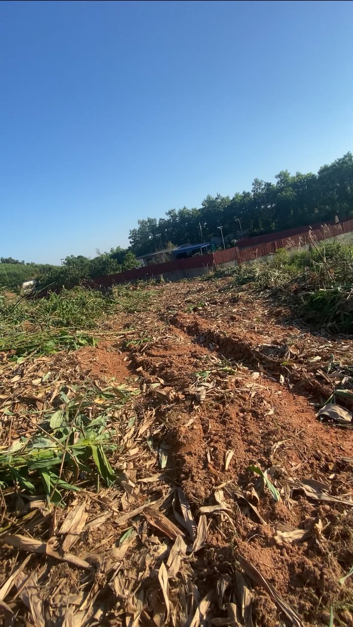 Đất Farm 4,3ha Phúc Thuận Thái Nguyên - Tiềm năng phát triển trang trại