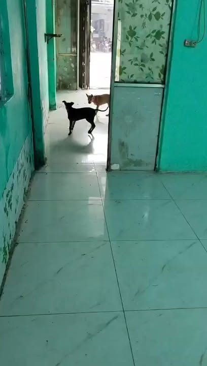 Cho thuê mặt tiền đường Quách Điêu, Vĩnh Lộc A, 36m² giá 7 triệu - Kinh doanh sầm uất!