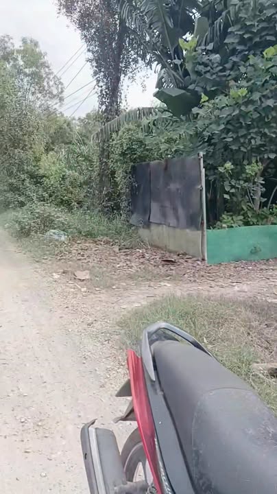 Đất nền mặt tiền đường Rừng Sến, Đức Hòa, 350m² giá 3.5 tỷ - Cơ hội đầu tư hấp dẫn!