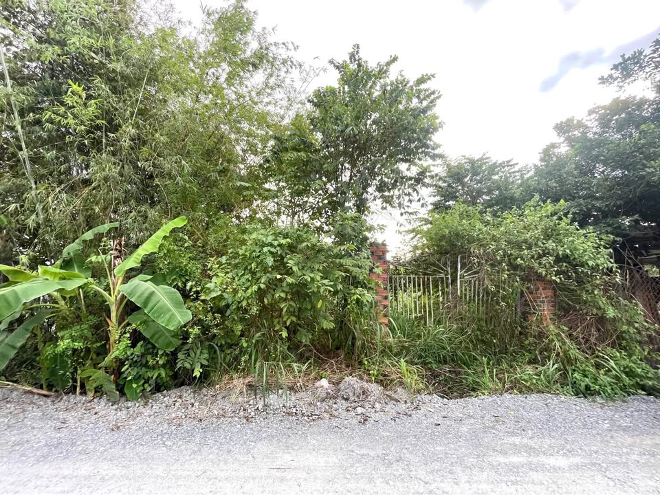 Đất nền mặt tiền Phạm Thị Chanh, Củ Chi 320m² - Sổ hồng chính chủ, giá thỏa thuận!