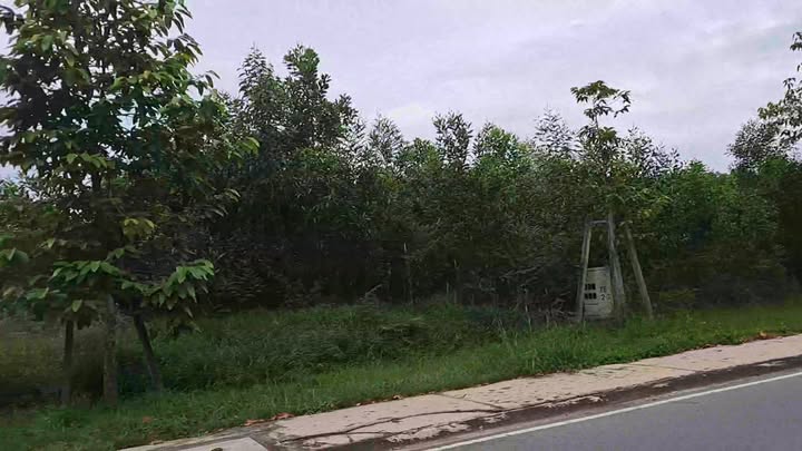 Đất thổ cư 150m² đường Vành Đai 4, phường Thới Hòa, giá chỉ 2.8 tỷ - Cơ hội đầu tư sinh lời!