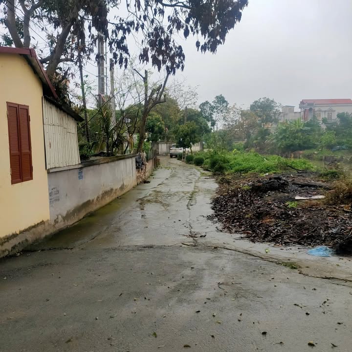 Đất nền 397m² xã Bình Xuyên, Bình Giang - Giá rẻ đầu tư hấp dẫn!