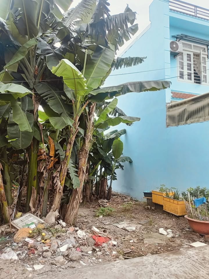 Đất nền 95m² đường nhựa 7m Thới Tam Thôn 6 - Giá chỉ 4.1 tỷ, bớt lộc!