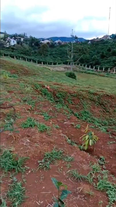 Đất Farm 11.450m² tại Gung Ré, Di Linh - Giá 500 triệu, Đầu tư sinh lời!