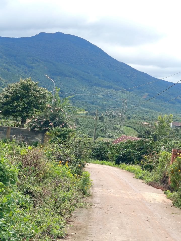 Đất nền Bảo Thuận, Di Linh 300m² giá 1 tỷ - Khu dân cư sầm uất, tiện ích đầy đủ!