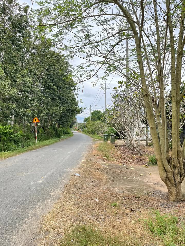 Đất nền Nhuận Đức, Củ Chi 1500m² - Pháp lý rõ ràng, thích hợp xây nhà vườn!