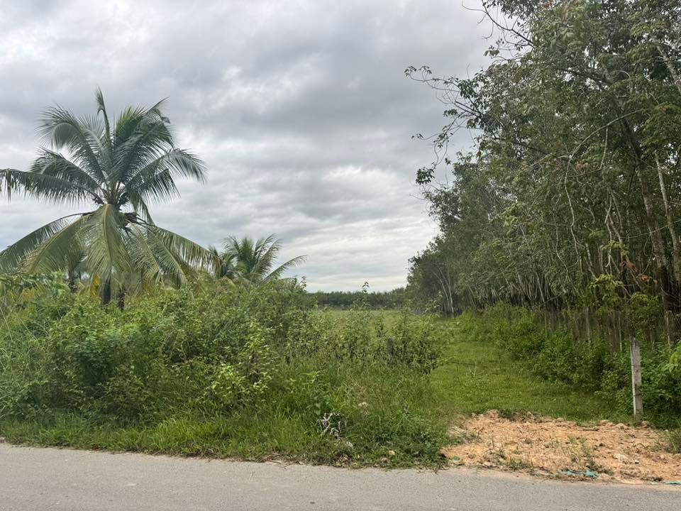 Đất nền mặt tiền đường Phú Thuận, Củ Chi 7252m² - Sổ hồng chính chủ, giá thỏa thuận!