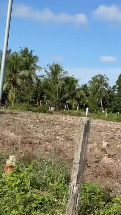 Đất nền Chòm Dừa Đồng Khởi 200m² giá chỉ 250 triệu - Tiện ích đầy đủ chỉ 300m!