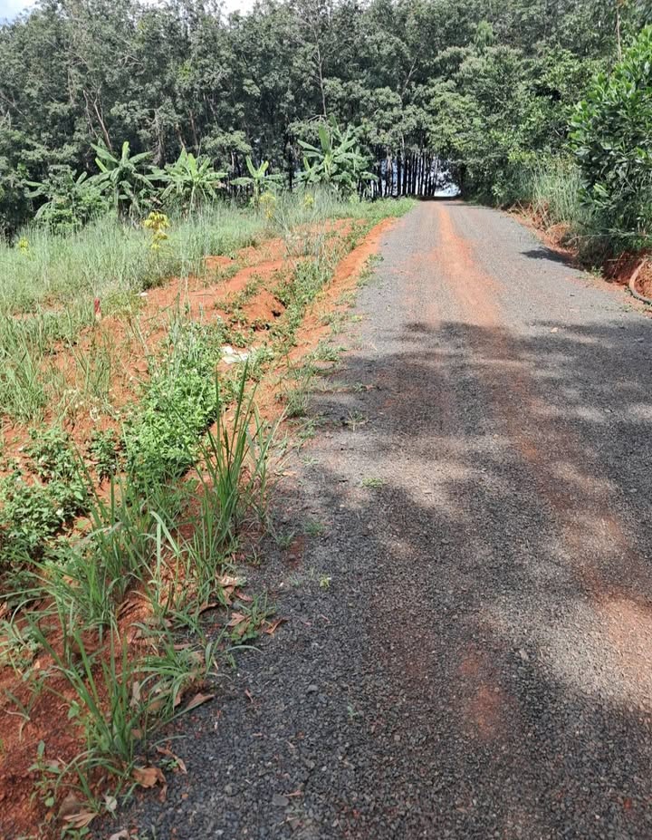 Đất nền ấp 6 xã Đồng Tiến 1125m² giá chỉ 1 tỷ - Cơ hội đầu tư tuyệt vời!