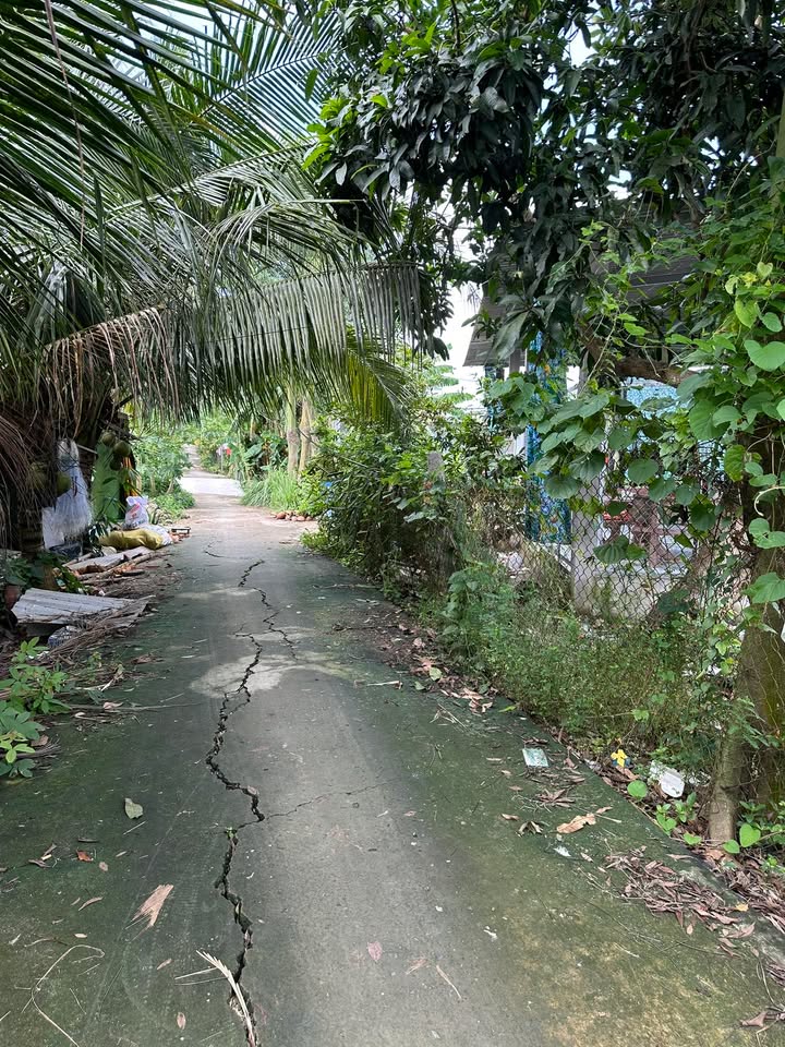 Đất nền Vĩnh Bình 130m² giá 100 triệu - Đầu tư bền vững cho tương lai!