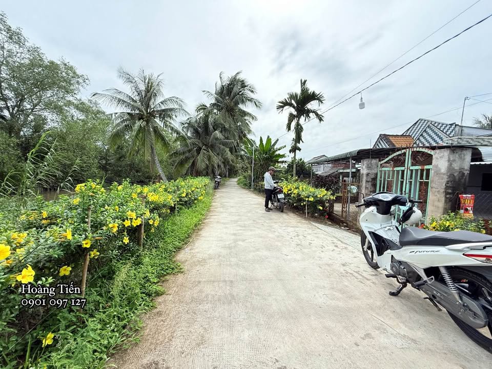 Nhà cấp 4 mới xây tại Đông Thành, Bình Minh, Vĩnh Long 103m² giá 790 triệu - Sẵn sàng vào ở!