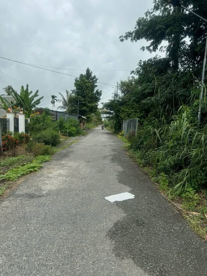 Đất thổ cư 205m² tại Trường Hòa, Phong Điền, Cần Thơ - Giá chỉ 2.35 tỷ!