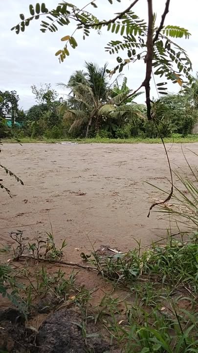 Đất đẹp chính chủ tại xã Cái Bè, Tiền Giang 162m² - Giá chỉ 650 triệu!