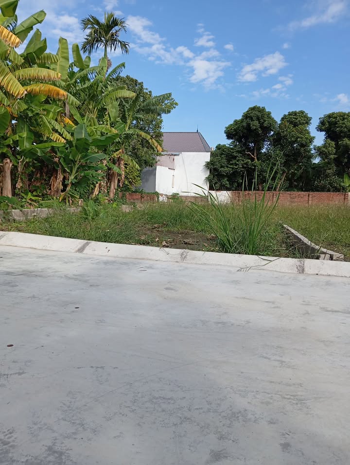 Đất nền Thái Sơn, An Lão 60.5m² giá chỉ 500 triệu - Nở hậu, tiện ích đầy đủ!